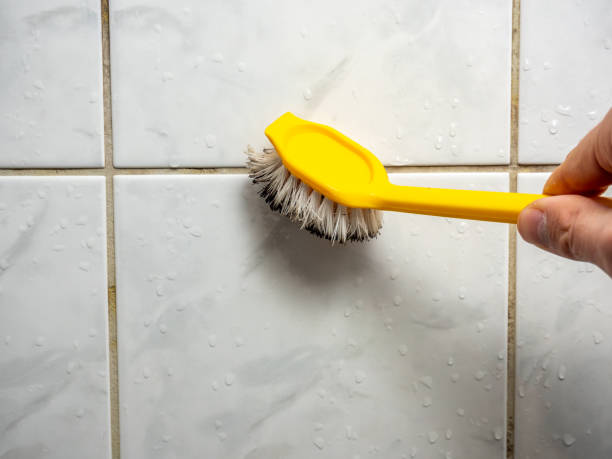 Best Mold Remediation Services  in Fortuna, CA