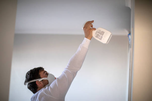 Best Mold Damage Repair  in Fortuna, CA