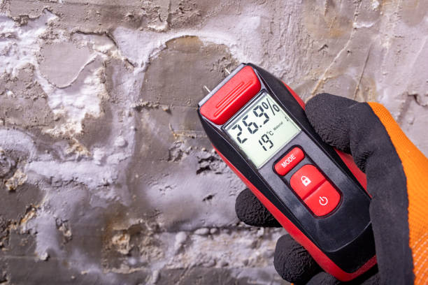 Certified Mold Removal in Fortuna, CA