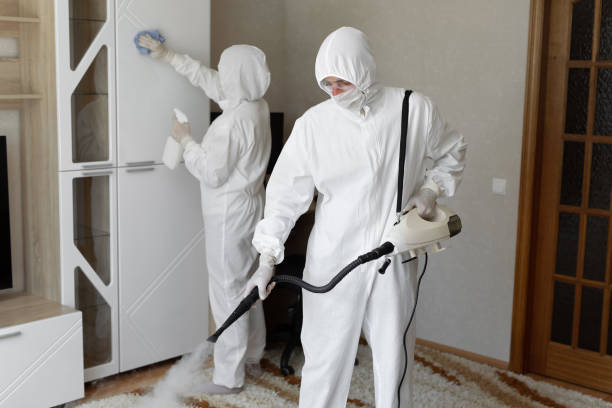 Best Office Mold Removal Services  in Fortuna, CA