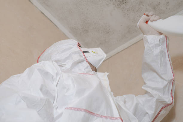 Best Professional Mold Removal  in Fortuna, CA
