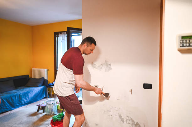 Best Black Mold Removal  in Fortuna, CA