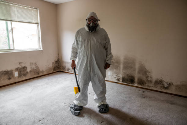 Best Home Mold Removal  in Fortuna, CA